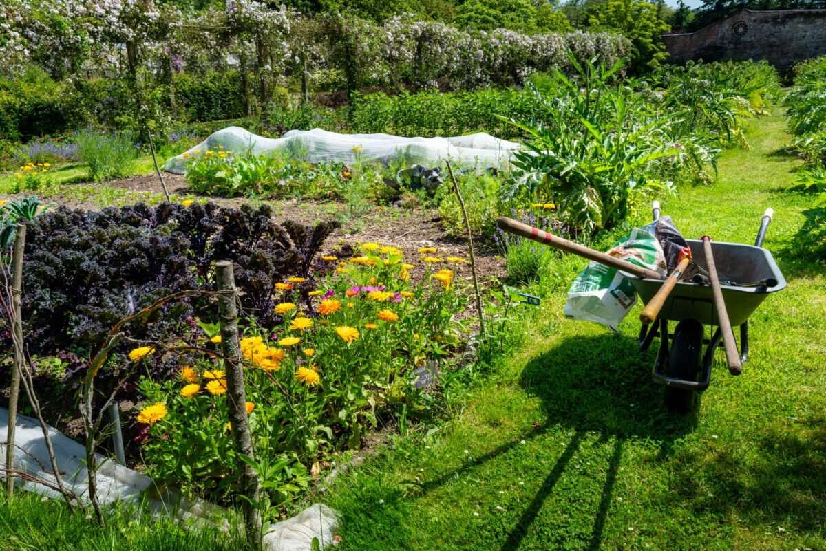 jardin affaisse comprendre stratégie correction choisir
